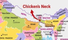 7lqa9amg_chicken-neck_625x300_01_April_25
