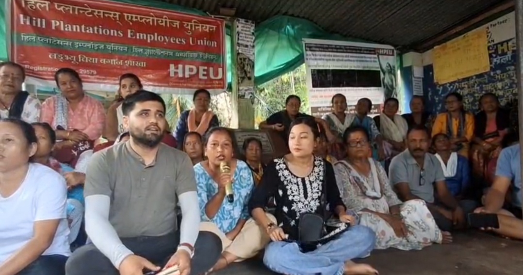 लङ्भ्यू चियाबारीलाई लिएर मालिकलाई मात्रै लिएर गरिएको सभा विषयमा श्रमिकहरुको प्रतिक्रिया