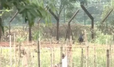 india-bangladesh-fencing
