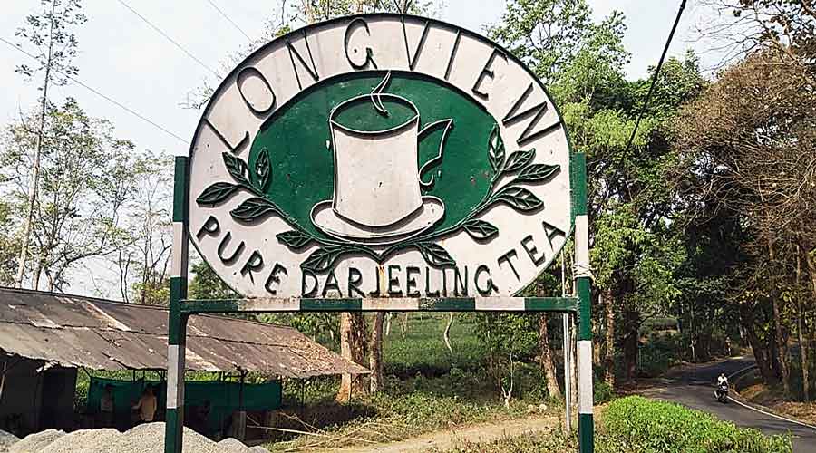 1640027957_tea